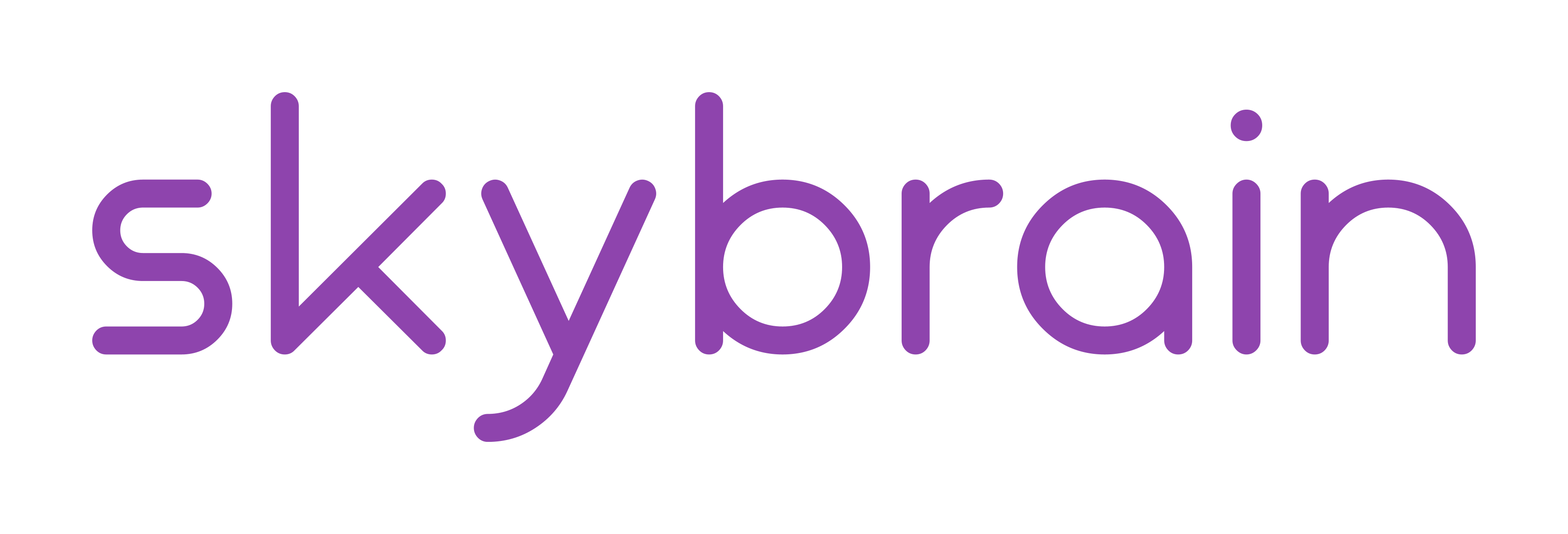 Skybrain Logo